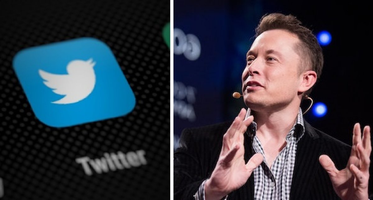 "Я подчинюсь": Маск запустил опрос, стоит ли ему покинуть пост главы Twitter