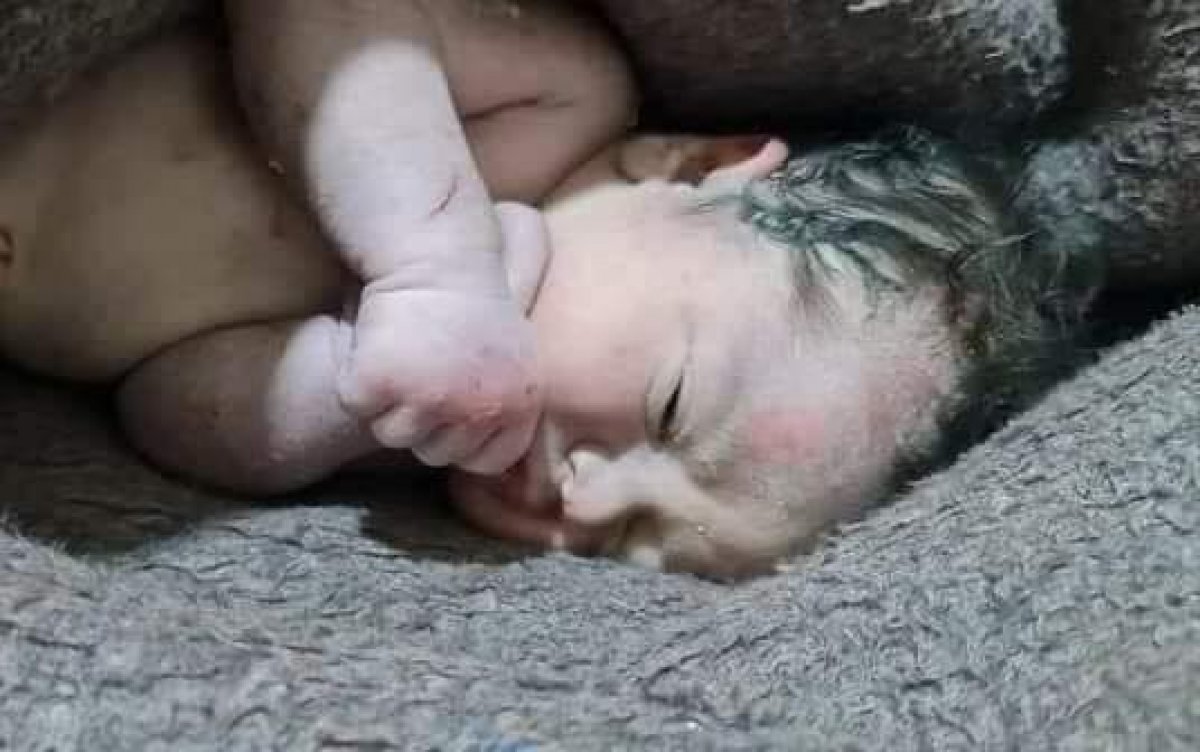 Женщина родила под завалами в Сирии (ВИДЕО)