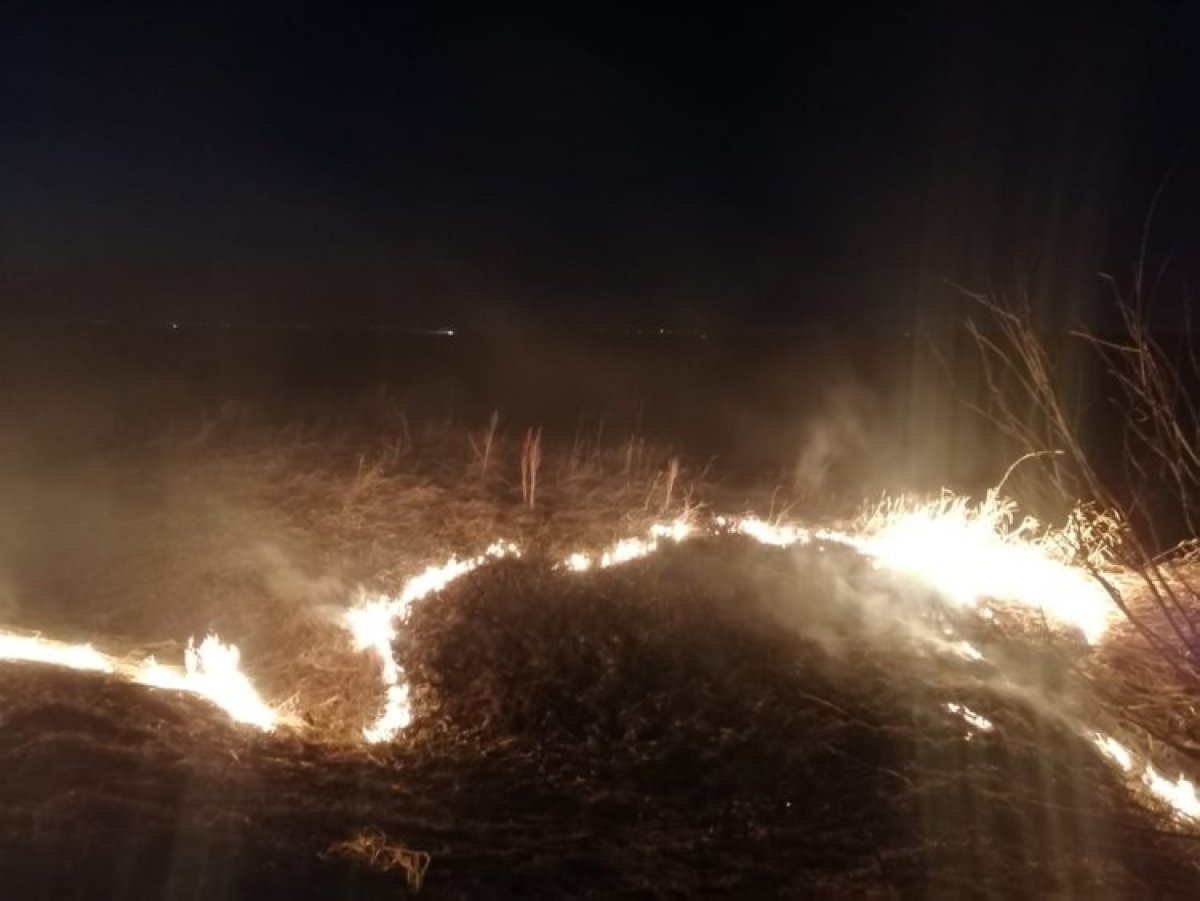 Добровольцы помогли спасателям потушить пожар рядом с Аксу