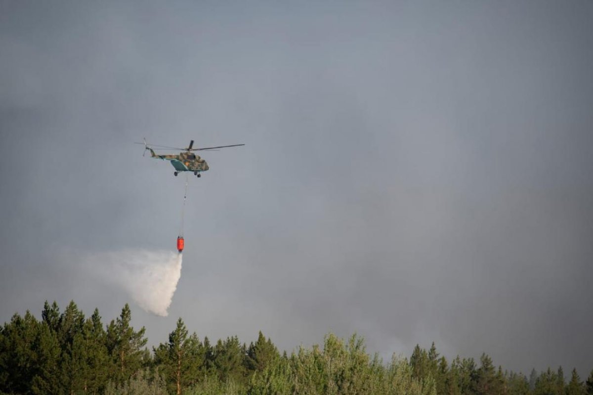 Пожар в Абайской области: угрозы населенным пунктам нет