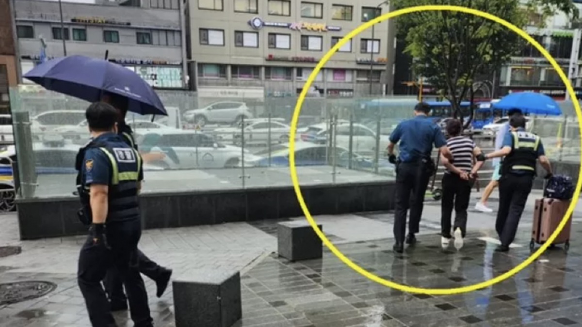 В МИД рассказали о казахстанке, напавшей на водителя в Сеуле