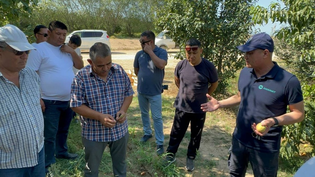 "Негде продавать экологически чистые продукты": мангистауские аграрии обратились к депутату