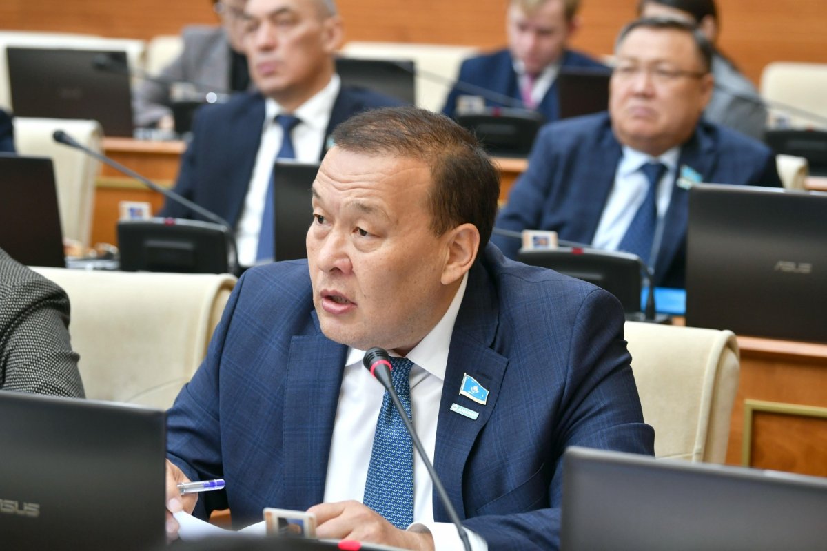 Какие поправки для улучшения ведения бизнеса одобрили в Мажилисе