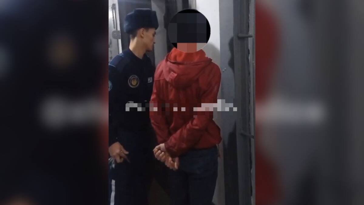 Пьяный иностранец гнал фуру в Жамбылской области (ВИДЕО)