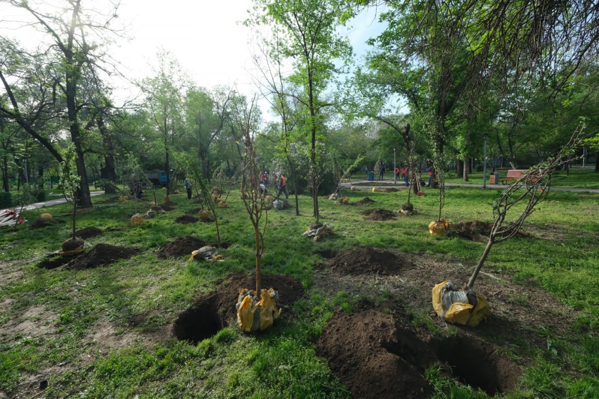 Казахстан впервые участвует в глобальном конкурсе городской дикой природы