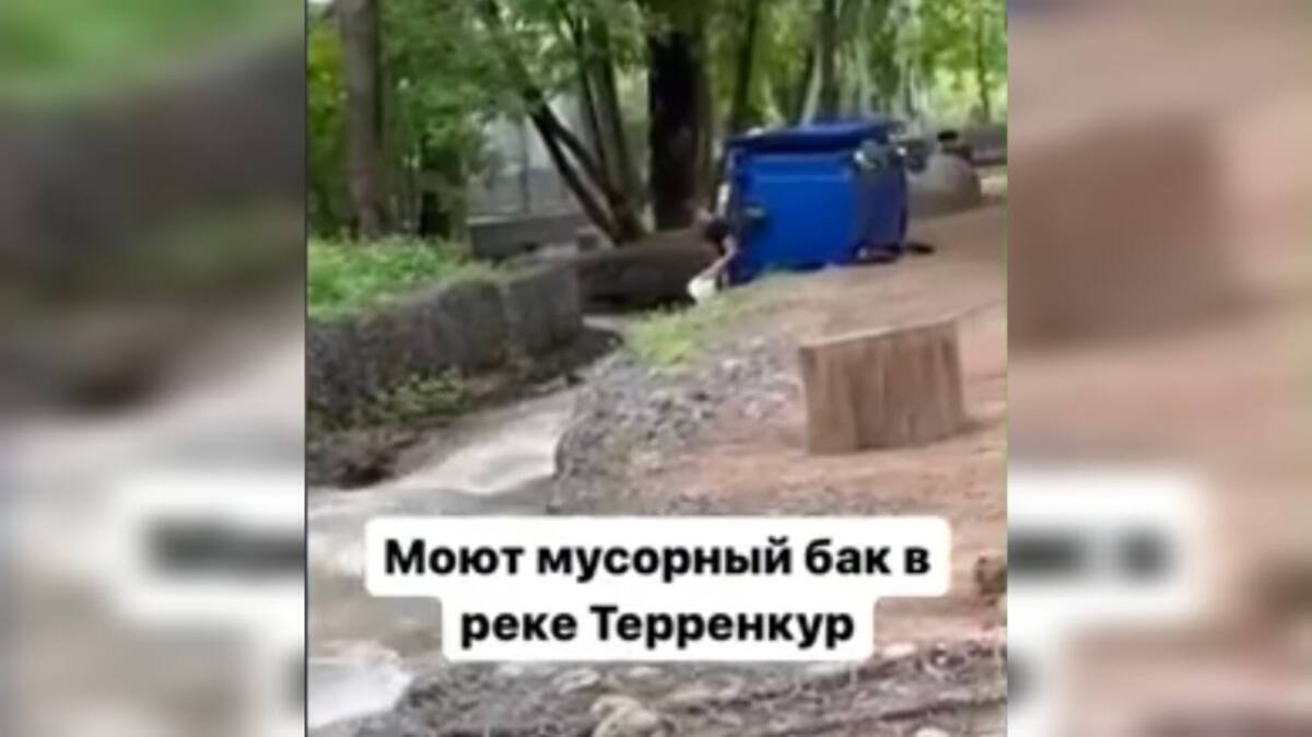 Мусорные баки мыли в реке в Алматы