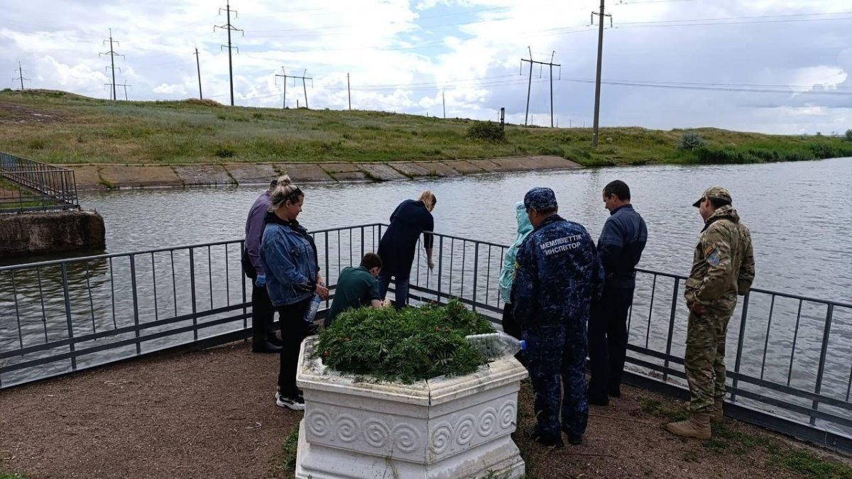 В МСХ прокомментировали информацию о гибели рыбы в Карагандинской области