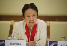 «На заседаниях ОКДС царил дух партнерства» - Нина Каюпова