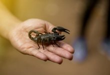 Как вылечить артрит, рассказали ученые