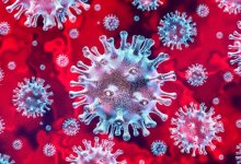 Коронавирус: Что случится с человечеством, если пандемию не остановить