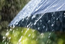 Дожди ожидаются на большей части Казахстана 12 апреля