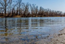 Из-за обильных осадков ожидается подъем уровня воды на реках, прилегающих к Алматы