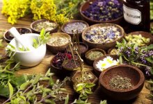 Нужно ли казахстанцам курить марихуану и есть собачатину для лечения, ответил врач
