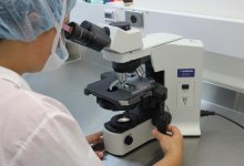 Эксперт оценила угрозу распространения смертельного вируса из Китая
