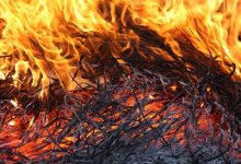 У сельчанина в ВКО сгорели 120 тонн сена