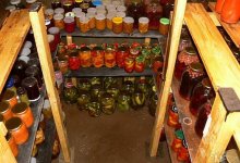Семейная пара украла 53 банки с соленьями у жительницы Костанайской области