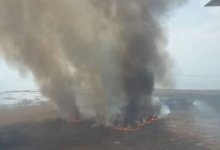 В Павлодарской области горит сосновый бор