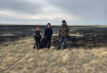Акмолинец с малолетними сыновьями потушил степной пожар