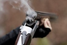 Кровавую перестрелку с погоней устроили братья в Жамбылской области