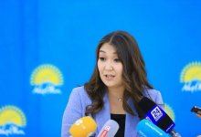 Депутат Закиева предложила повысить адресную соцпомощь до уровня прожиточного минимума