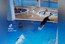 Спасение тонущего в бассейне маленького мальчика в Костанае попало на видео