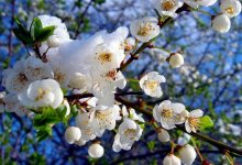 Сезонный прогноз погоды на полгода сделали синоптики
