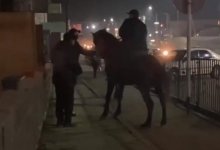 Всадник на коне бил кнутом прохожих в Алматинской области