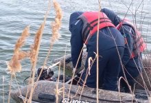 Найдено тело мужчины, пытавшегося пересечь реку верхом на лошади в Атырау