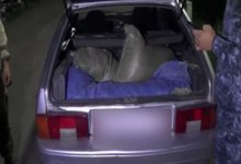 Грузили мешками: задержаны перевозчики 40 килограммов марихуаны