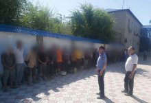 Иностранцы незаконно трудились на плантациях в Туркестанской области