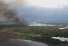 Больше суток тушили пожар на озере Талдыколь в Нур-Султане