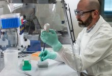 Конго-крымская лихорадка поразила жителей Кызылординской области