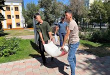 Начали работу пункты приема гумпомощи партии AMANAT