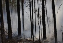 Угроза пожаров и заморозки: штормовое предупреждение объявлено почти во всех регионах РК