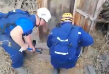 Четырех щенят спасли из выгребной ямы в Усть-Каменогорске (ВИДЕО)