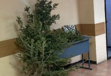Хотел заработать: мужчину, срубившего елочки у "Вечного огня" в Караганде, задержали