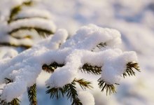 Морозы придут на смену снегу и теплу в Казахстане