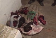 Кто-то сообщил в полицию о запрещенных рогах в селе Актюбинской области (ВИДЕО)
