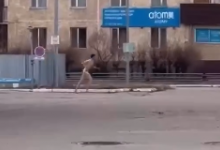 Голый мужчина, гуляющий по улицам, напугал жителей Талдыкоргана