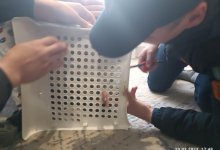 Спасатели спасли пальцы четырехлетнему малышу в Петропавловске