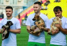 Самый милый выход: футболисты Атырау вынесли на поле щенков (ФОТО)