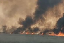 Сухостой на склоне горы загорелся в Алматы