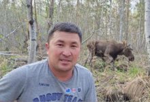 Мужчина встретил лося в лесу Каркаралинска (ВИДЕО)