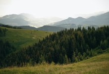 Турист заблудился в горах Туркестанской области