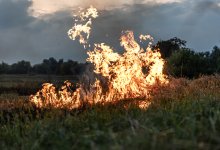 Пожарная опасность сохраняется в нескольких регионах Казахстана