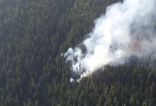 Пожар в Катон-Карагайском нацпарке локализовали – ДЧС