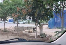 Убрать плиты с пешеходной зоны просят жители одного из микрорайонов Актау