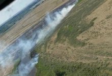 Сухостой горит в области Абай