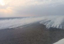 Горящий тростник тушат в Атырауской области