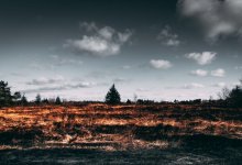 Почти 140 человек тушат природный пожар в Карагандинской области
